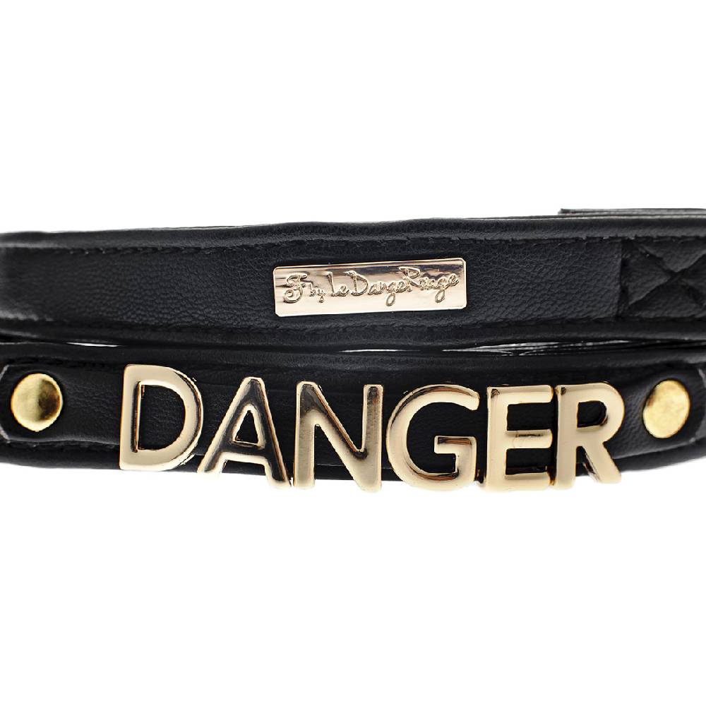 Le Dangerouge Danger dog leash Vendita Economica
