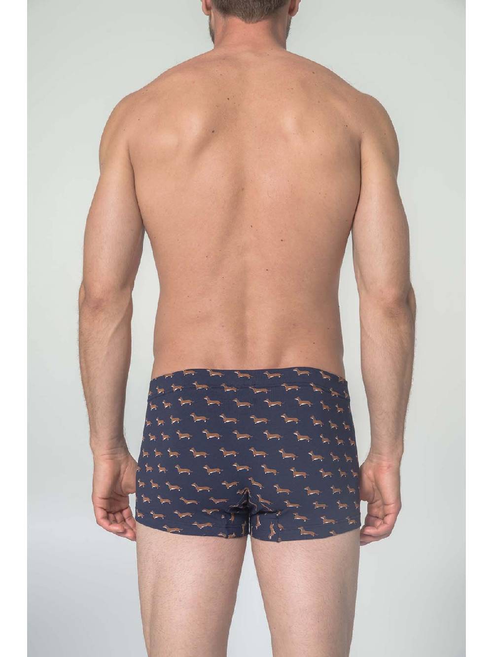 Julipet Boxer in cotone bielastico stampato In Vendita