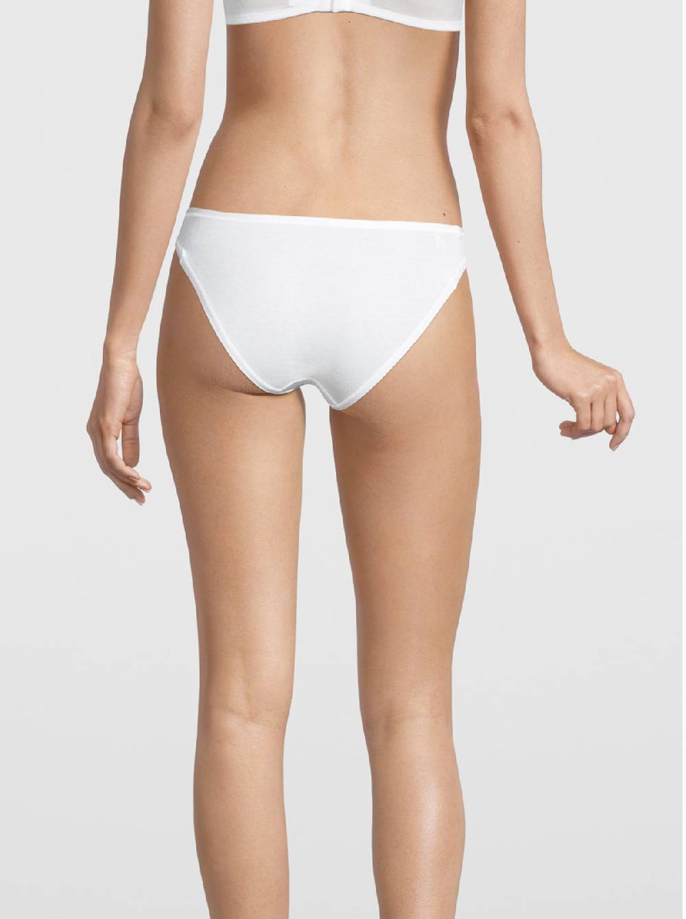 Oscalito Slip vita bassa in puro cotone 471 Online