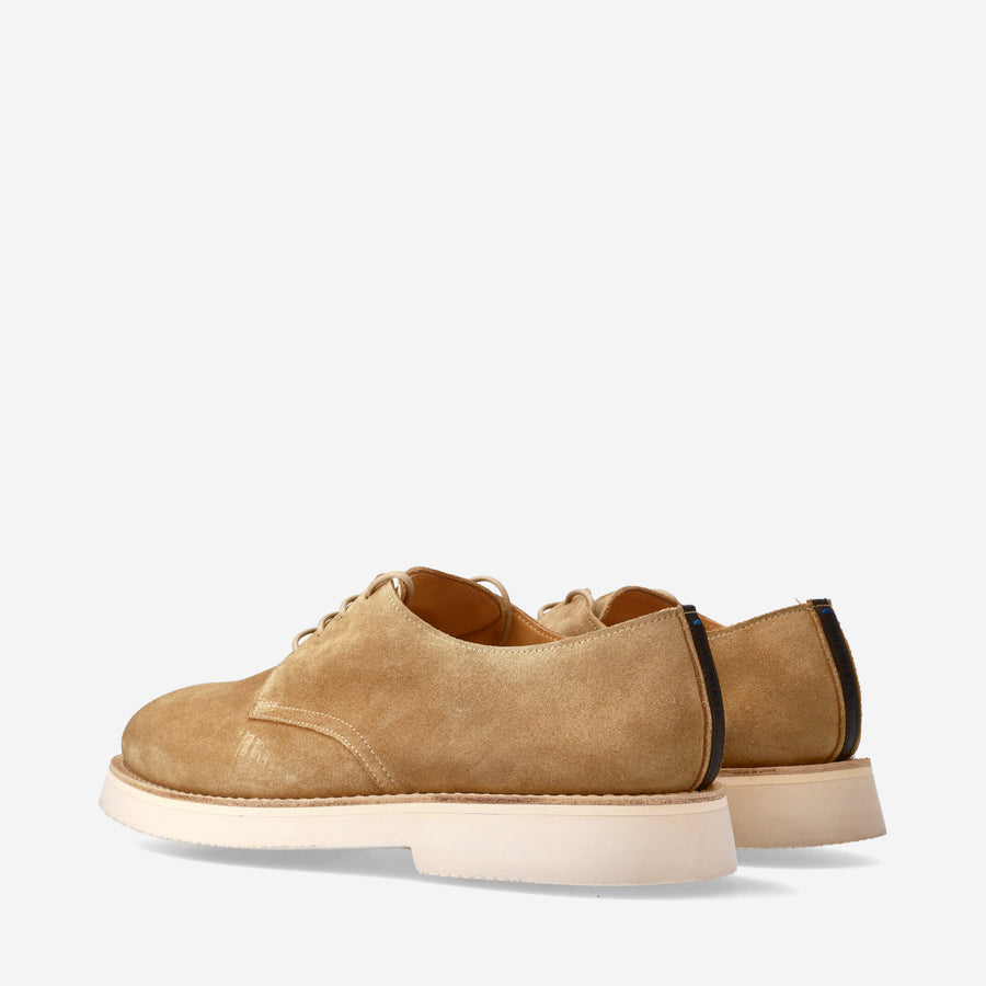 Premiata Stringate in suede 32115L Novità