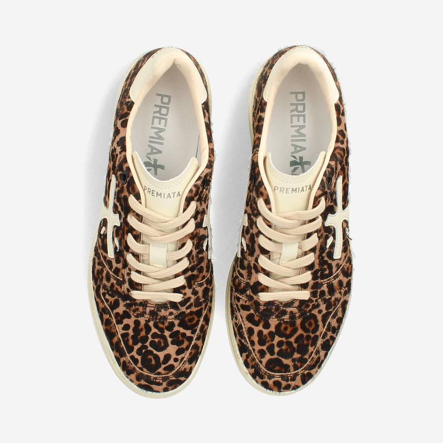 Premiata MICOL 7034 Discount Store per i nuovi prodotti