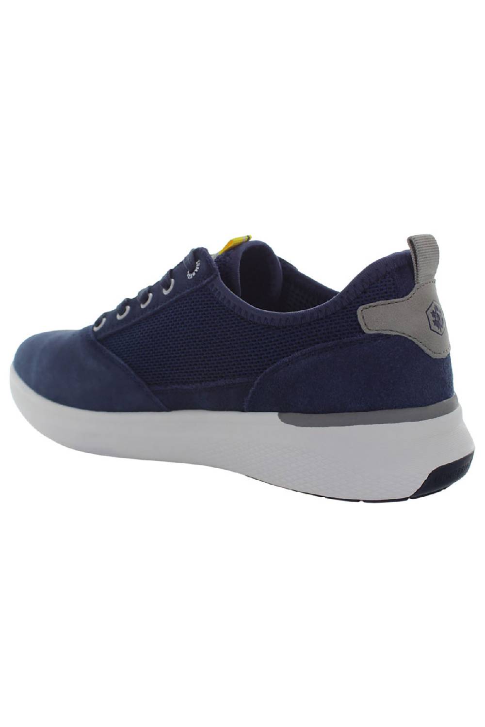 LumberJack NEIL SNEAKER UOMO Italia
