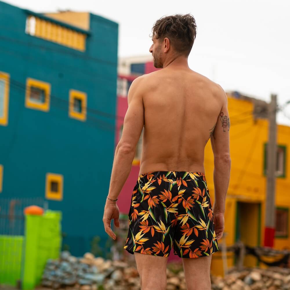 Seay / Costume da Bagno Corto Nero Bird of Paradise I Più Venduti