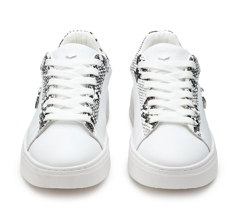 Alberto Guardiani NEW ERA 431000 Online